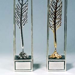 Nagroda 'Pióro Fredry 2002' - srebro, kamień